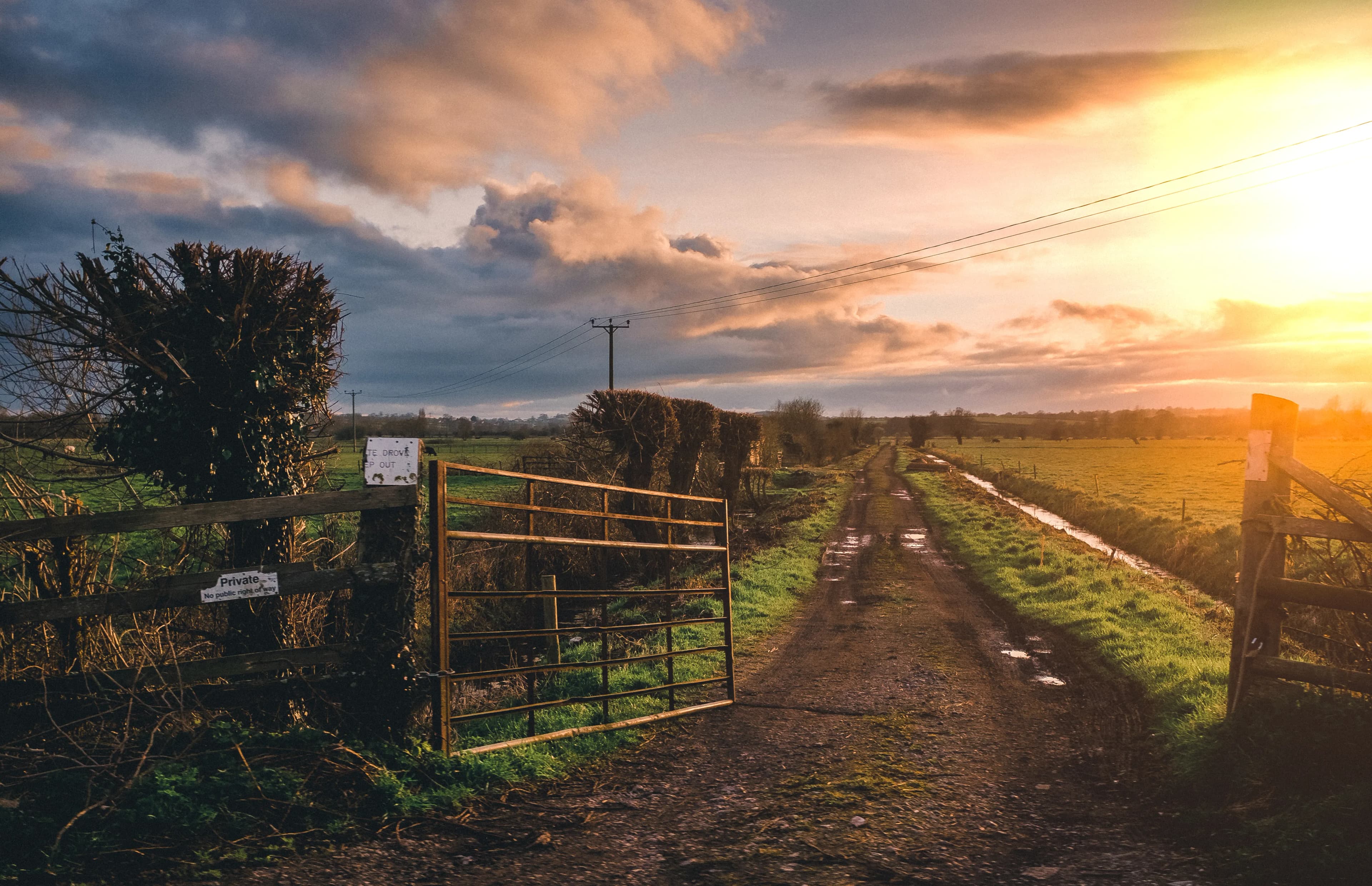 Solar Security Cameras for Your Home or Farm: Which One Do You Need?